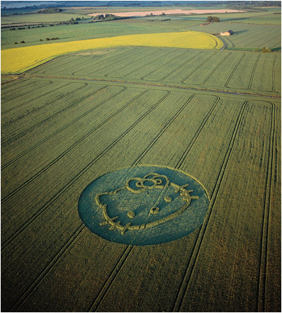 hello kitty crop circle